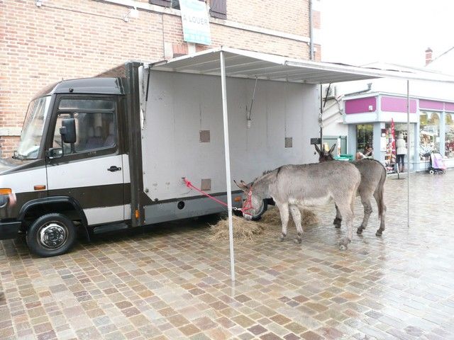 La Ferte 22 12 2012 (3).jpg